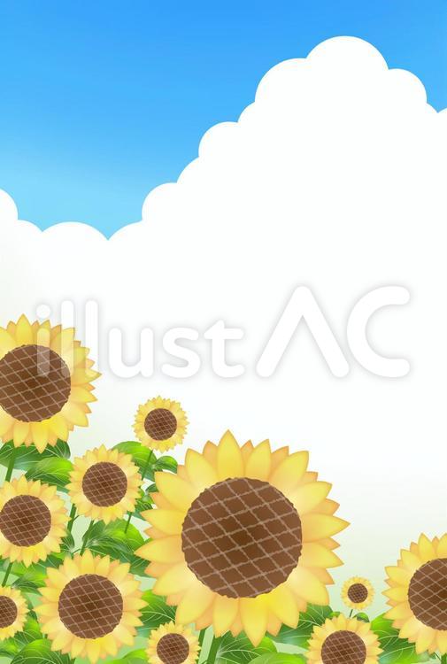 暑中見舞い・残暑見舞い　文字スペース有２ 暑中見舞い,夏,向日葵のイラスト素材