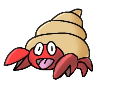 Hermit crab, JPG and PNG Hermit crab, hermit crab, creatures, a pet, JPG and PNG