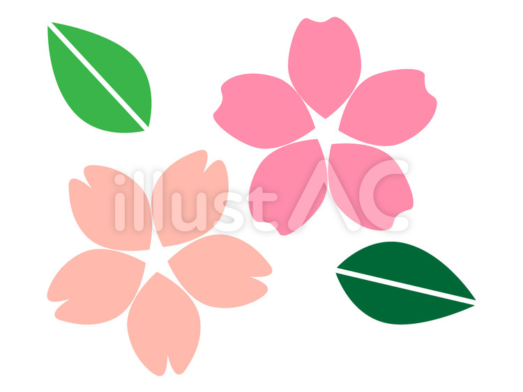桜 beautiful,春色,桜の花のイラスト素材