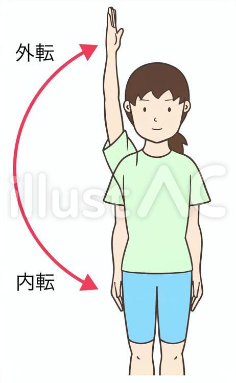 外転、内転、肩関節可動域検査 外転,内転,肩関節のイラスト素材