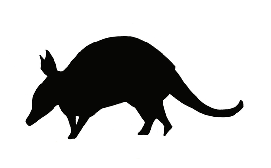 Illustration, armadillo, silhouette, landscape, 