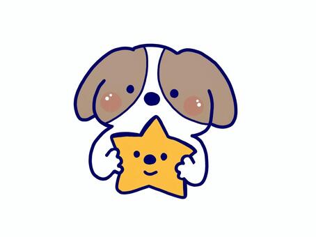 星を持つキャバリア 犬,キャバリア,星,持つ,保護犬,家庭犬,小型犬,中型犬,無料,イラストのイラスト素材