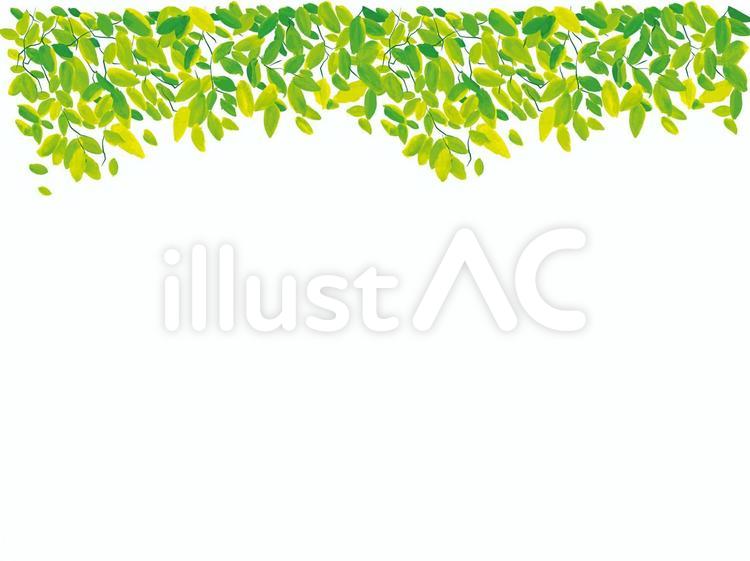 フレーム新緑背景※葉は1枚ずつグループ化 新緑,フレーム,イラストのイラスト素材