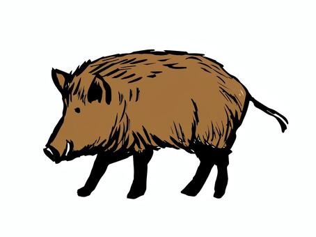 Boar 04, , JPG, PNG and AI