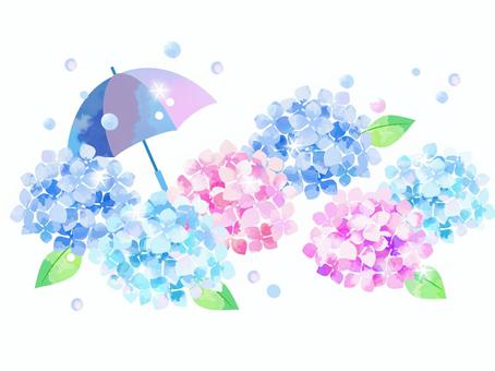 Umbrella and hydrangea, , JPG and PNG