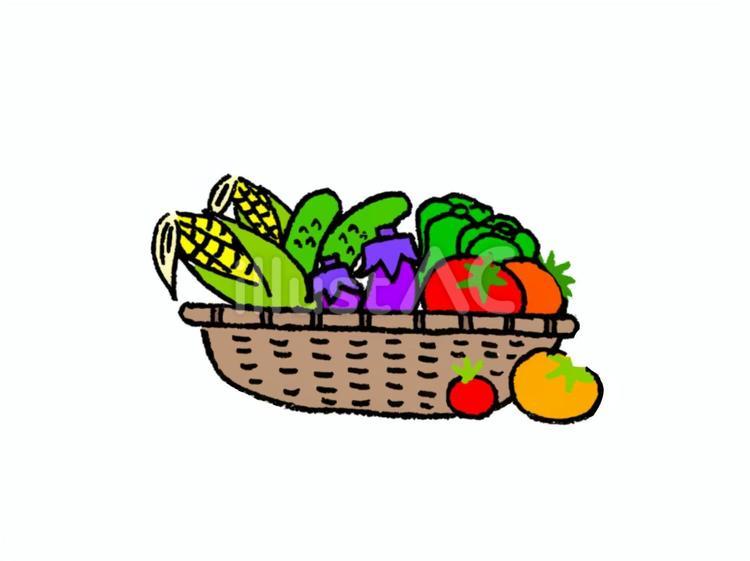 野菜イラスト 野菜,トマト,ピーマンのイラスト素材