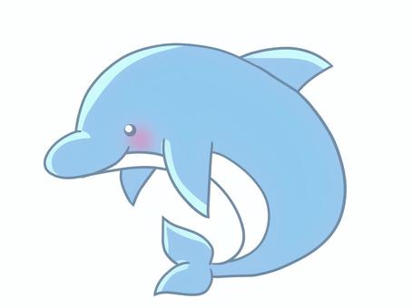 イルカ イルカ イルカ,動物,可愛い,癒し,海,水族館,水のイラスト素材