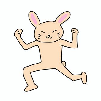 マッチョポーズするうさぎ マッチョポーズするうさぎ うさぎ,動物,キャラ,ポップ,かわいい,マッチョ,筋肉,細い,ガリガリ,鍛えるのイラスト素材