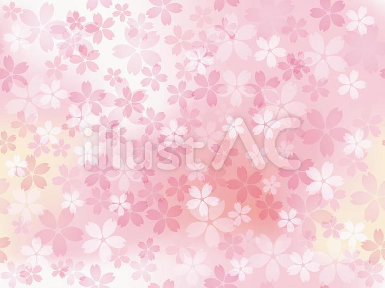 シームレスな桜の背景 桜,背景,シームレスのイラスト素材