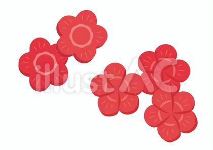 花型の金時人参2