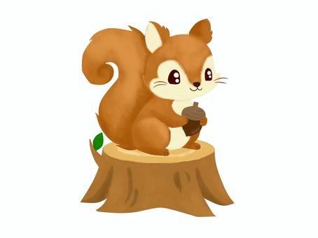 リス2025 1 リス,切り株,どんぐり,秋,りす,動物,小動物,生き物,生物,かわいいのイラスト素材