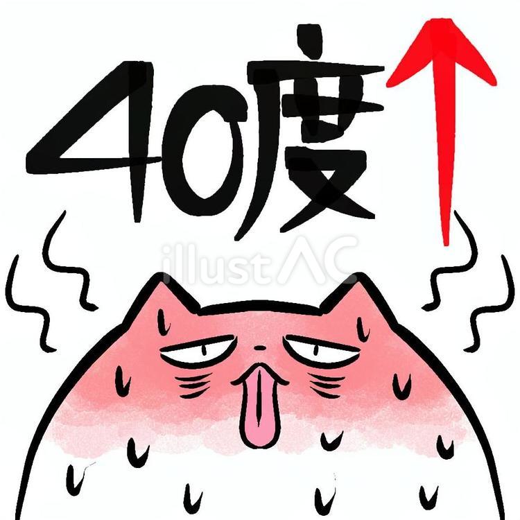 ４０度越えの暑さで辛いねこ 酷暑,猛暑,熱中症のイラスト素材
