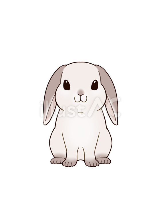 おすわりウサギ・垂耳 ウサギ,動物,可愛いのイラスト素材