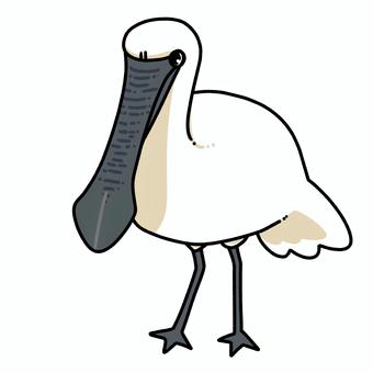 Illustration, black-faced spoonbill, bird, waterfowl, 