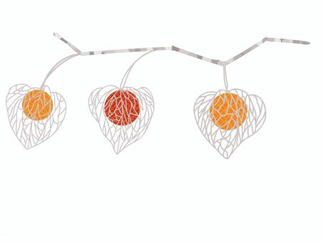ホオズキ3個(葉脈) ホオズキ3個(葉脈) ホオズキ,夏,植物,赤い,葉脈,シンプル,挿絵,オブジェクトのイラスト素材