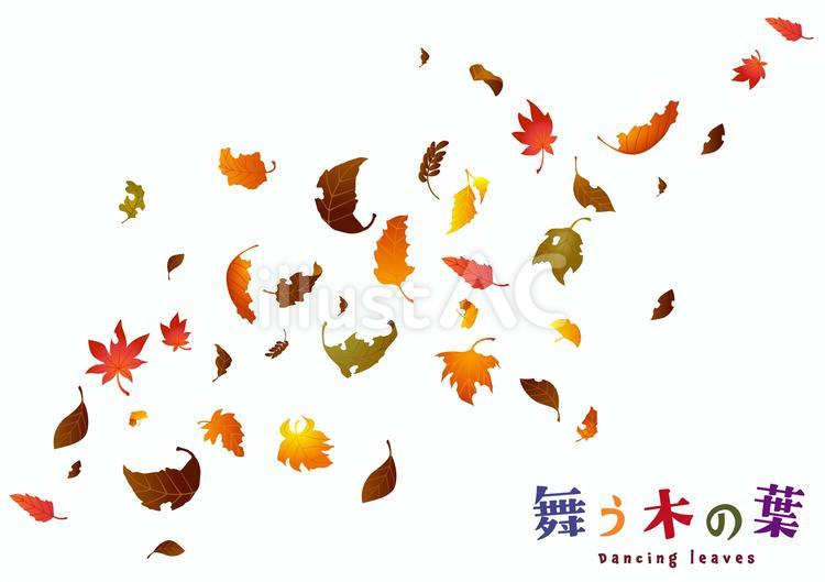 舞う木の葉_3 秋,葉,紅葉のイラスト素材