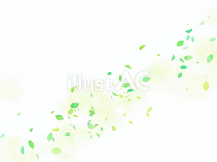 木の葉の背景 背景,壁紙,初夏のイラスト素材