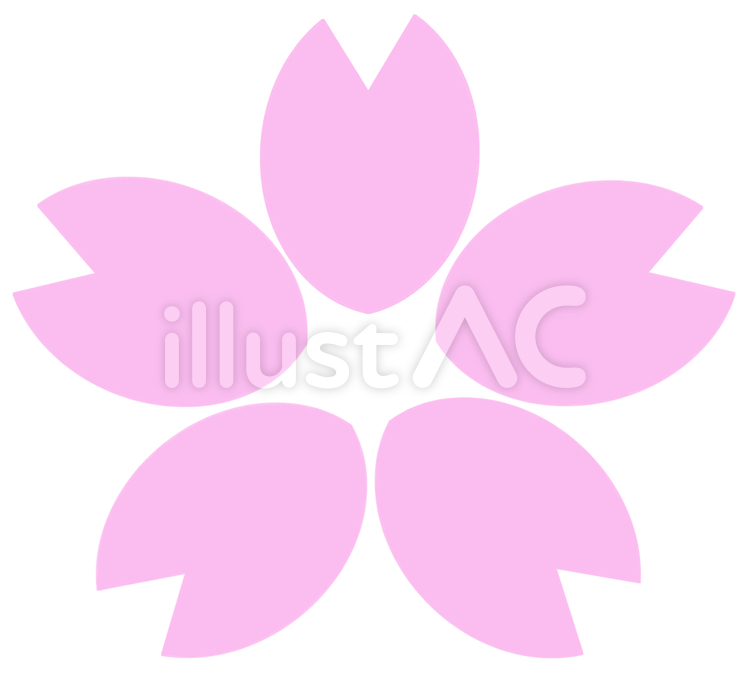桜１ 桜,お花見,花のイラスト素材