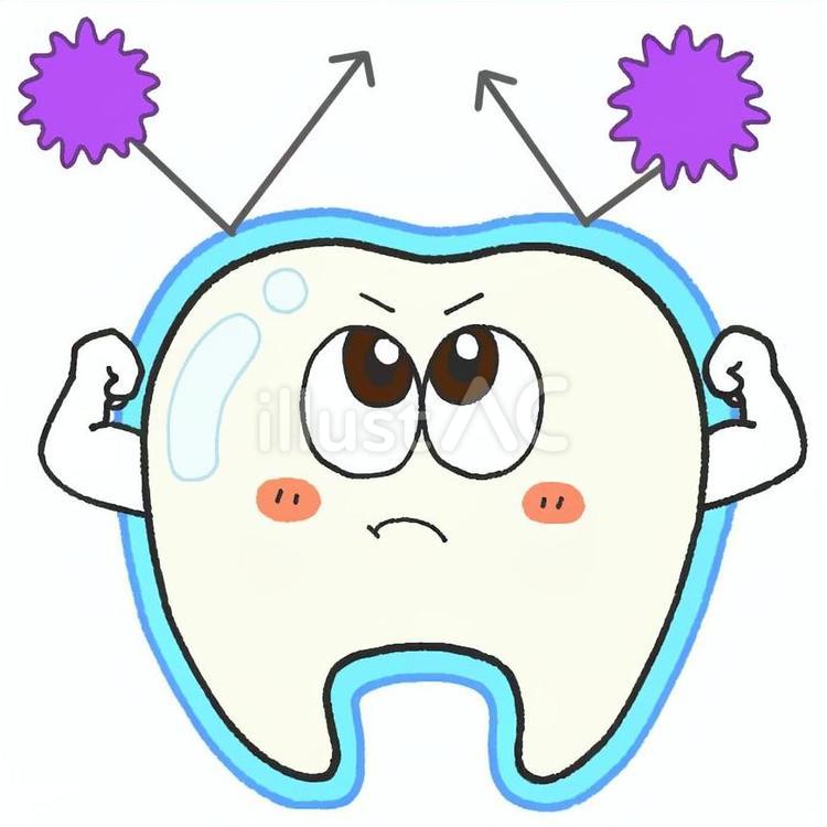 フッ素でコーティングした歯 歯,フッ素,ばい菌のイラスト素材