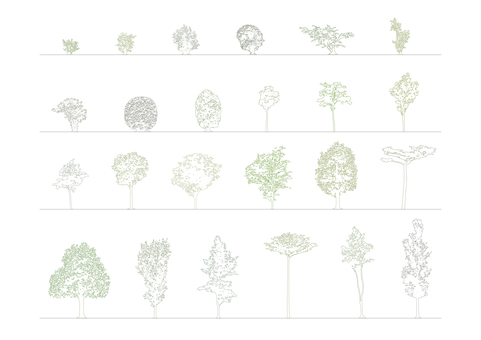 樹木の添景_53_植栽の線画24本セット 木,点景,cad,アウトライン,輪郭,線,切り抜き,背景透過,建築図面,パースのイラスト素材