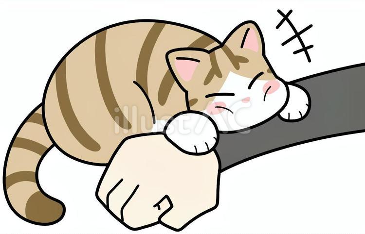 腕枕キジ猫 キジ猫,腕枕,喜ぶのイラスト素材