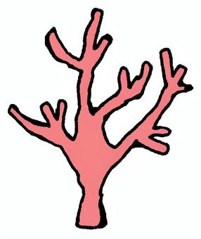 サンゴ サンゴ,植物,水草のイラスト素材
