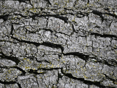 石 ストーン 背景 テクスチャ 素材 石,ストーン,背景,テクスチャ,素材,黒,白,灰色のイラスト素材