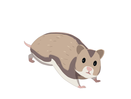 ハムスター（走る・主線なし） ジャンガリアンハムスター,ヒメキヌゲネズミ,ドワーフハムスター,ハムスター,動物,走る,主線なしのイラスト素材