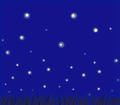夜の蛍のひかり ほたる,夜,ひかり,草原,深い青のイラスト素材