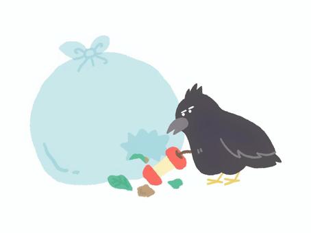 ゴミ袋を漁るカラス カラス,ゴミ袋,ゴミ,烏,鳥類,黒,漁る,動物,生き物,鳥のイラスト素材