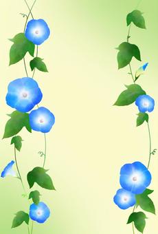 アサガオG 朝顔,アサガオ,あさがお,花,フラワー,蔓,葉,葉っぱ,植物,自然のイラスト素材