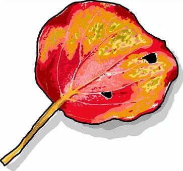 枯葉-07 手描き,簡単,植物,枯葉,落ち葉,秋,色づき,自然,きれい,美しいのイラスト素材