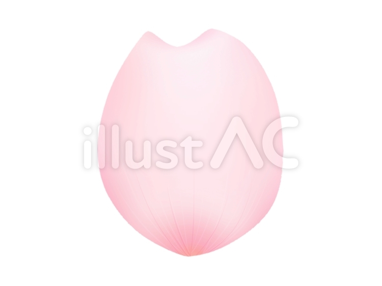 桜の花びら5 桜,花弁,花びらのイラスト素材