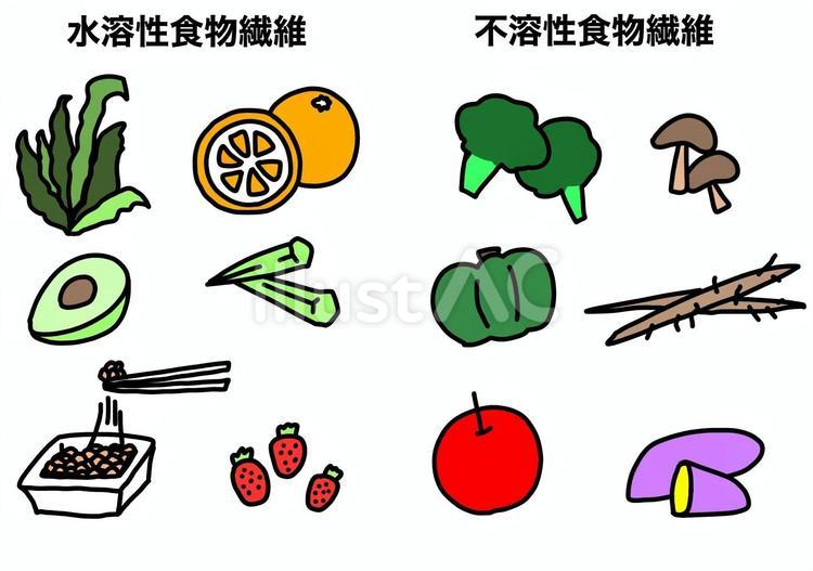 水溶性と不溶性の食物繊維　カラー 水溶性,不溶性,食物繊維のイラスト素材