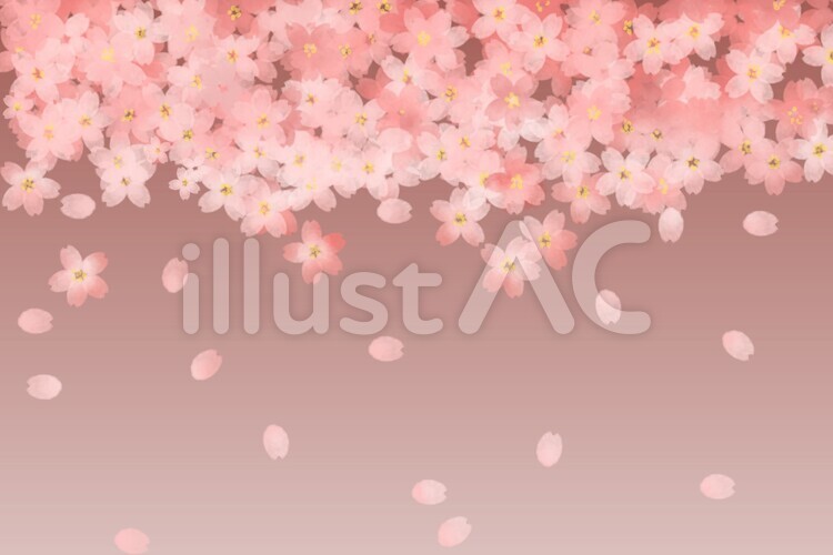 桜の背景 待受け,美しい,和柄のイラスト素材