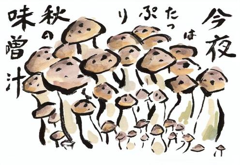 きのこを楽しもう きのこを楽しもう ぶなしめじ,キノコ,食材,ハラタケ科,菌糸,顔彩画,絵手紙のイラスト素材