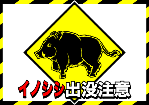 イノシシ出没注意ポスター1 猪,ポスター,警告,注意,告知,看板,危険のイラスト素材