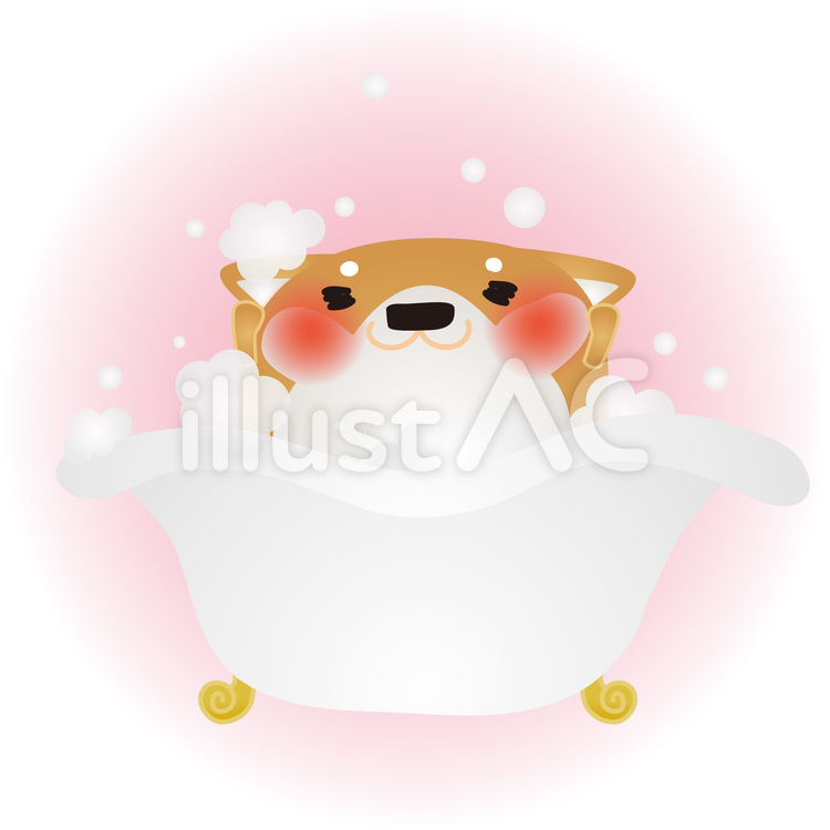 柴犬お風呂 犬,お風呂,入浴のイラスト素材