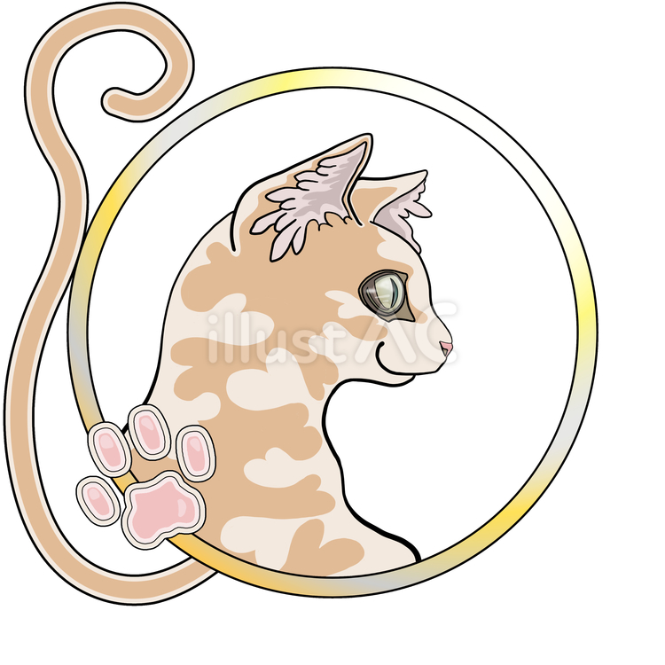 猫 猫,かわいい,愛猫のイラスト素材