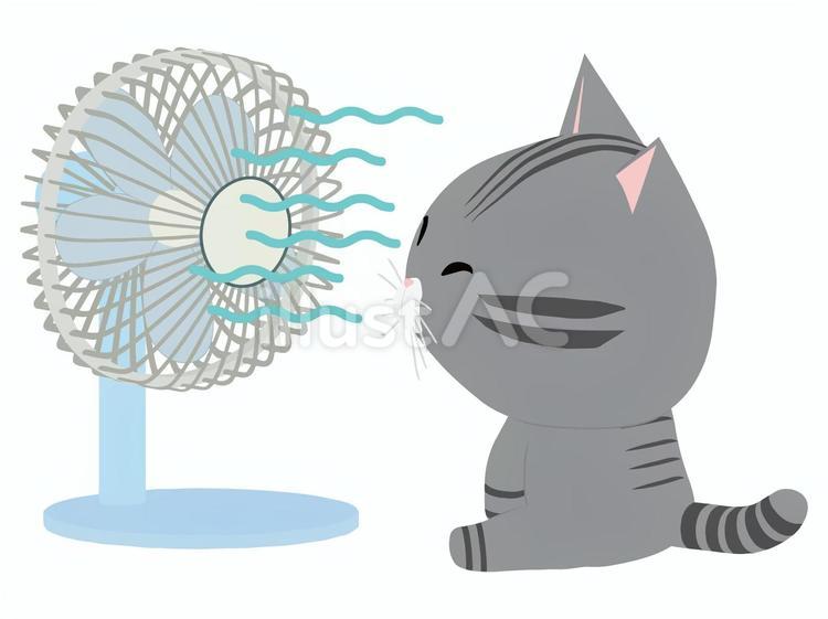 扇風機_猫 扇風機,猫,さばとらのイラスト素材
