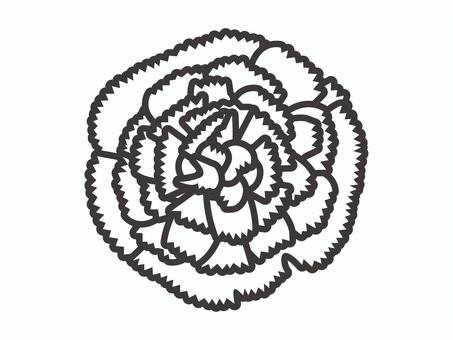 カーネーション03