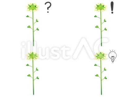 花のキャラの表情セット 考 ナズナ