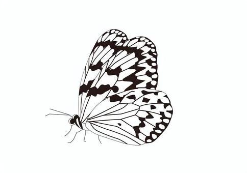 Butterfly 011, butterfly, butterfly, insect, JPG, PNG and AI