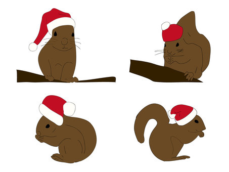 サンタの帽子をかぶったリス リス,サンタクロース,帽子,クリスマス,仮装,動物,冬,手描きのイラスト素材