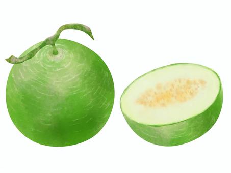 フルーツ水彩　ジューシーなメロン メロン,水彩,果物,フルーツ,食べ物,デザート,みずみずしい,ジューシー,フレッシュ,シンプルのイラスト素材