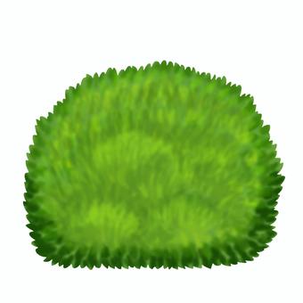 茂みイラスト 茂み,草むら,藪,低木,ブッシュ,灌木,草,植物,自然,背景のイラスト素材