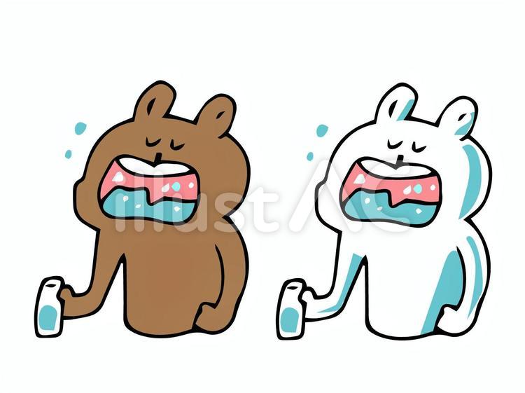 うがいをする熊・シロクマ 熊,シロクマ,クマのイラスト素材