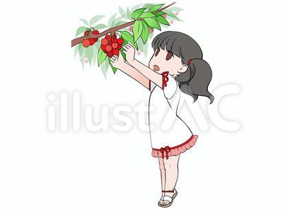 さくらんぼ狩り、果物の収穫をする女の子