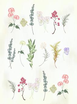 植物の壁紙 背景,植物,ボタニカル,壁紙,花,シンプル,オリーブ,葉っぱ,ローズマリー,あじさいのイラスト素材