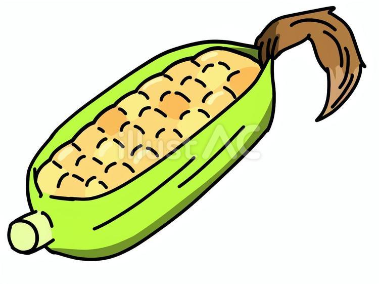 とうもろこし 野菜,ベジタブル,畑のイラスト素材
